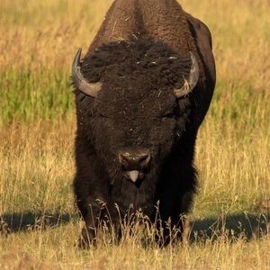 Meet your Posher, Kara